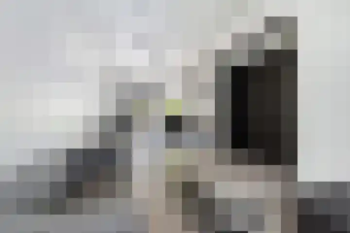 Boekweitstraat 33 Rotterdam thumbnail 13