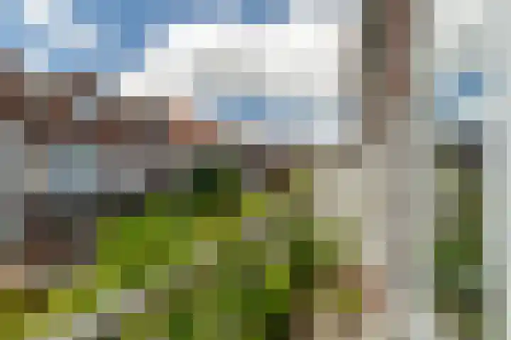 Boekweitstraat 33 Rotterdam thumbnail 37