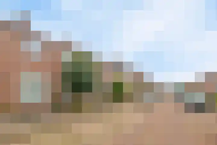 Boekweitstraat 34 Veldhoven thumbnail 32