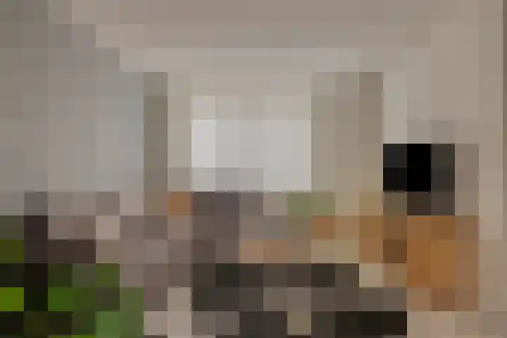 Boekweitstraat 34 Veldhoven thumbnail 4