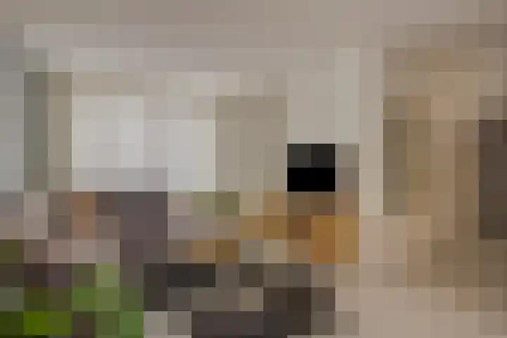 Boekweitstraat 34 Veldhoven thumbnail 5