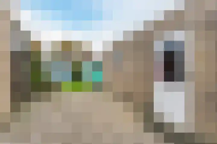 Boekweitstraat 35 Nistelrode thumbnail 26