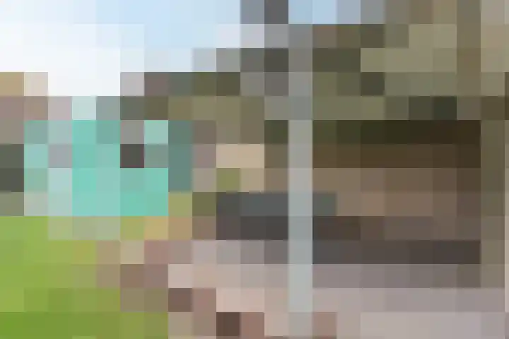 Boekweitstraat 35 Nistelrode thumbnail 29