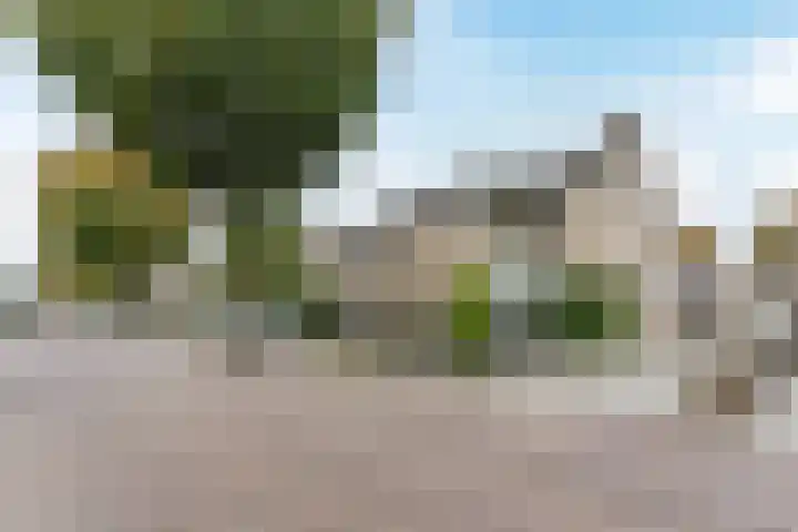 Boekweitstraat 35 Nistelrode thumbnail 36
