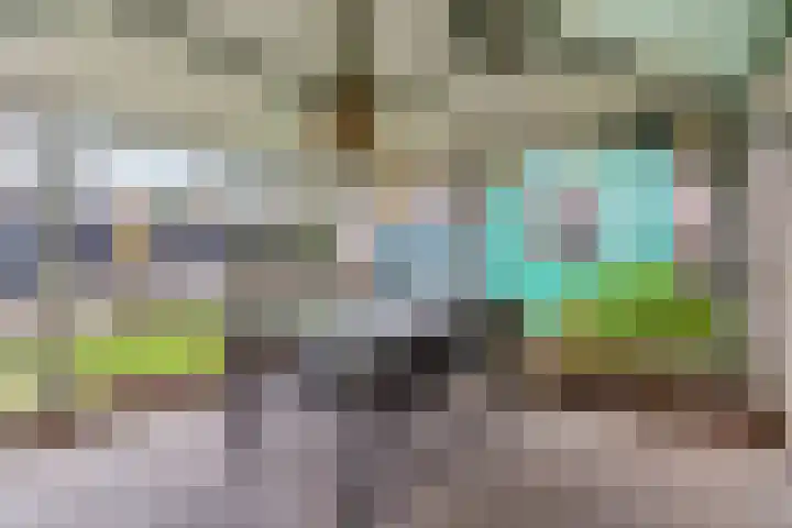 Boekweitstraat 35 Nistelrode thumbnail 4
