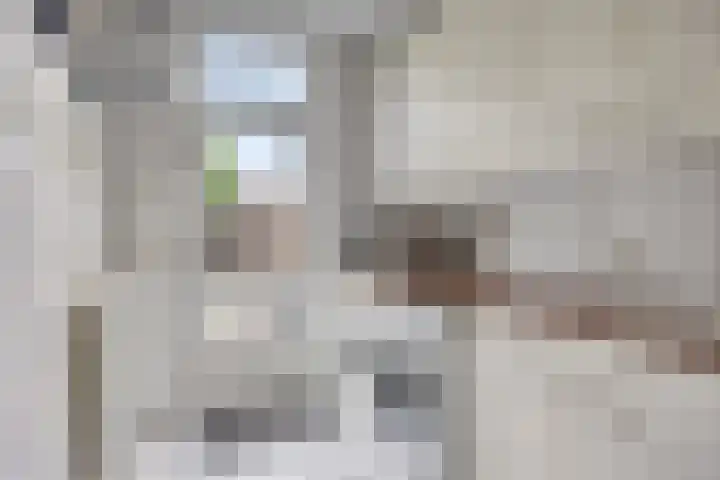 Boekweitstraat 36 Veldhoven thumbnail 10