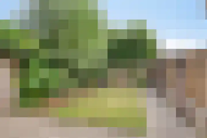 Boekweitstraat 36 Veldhoven thumbnail 19