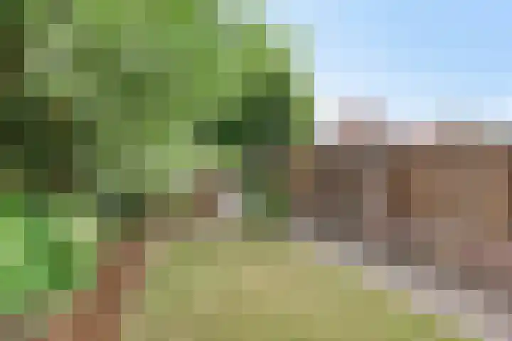 Boekweitstraat 36 Veldhoven thumbnail 20