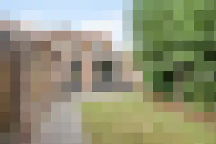 Boekweitstraat 36 Veldhoven thumbnail 21