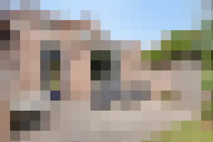 Boekweitstraat 36 Veldhoven thumbnail 22
