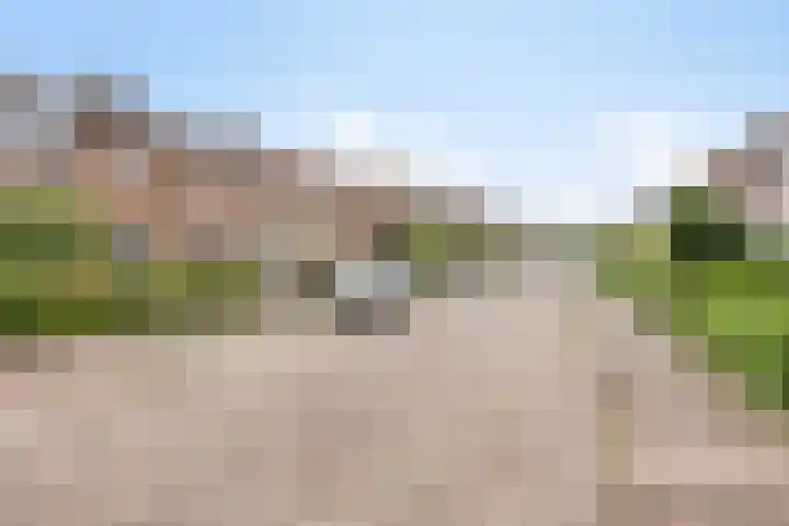 Boekweitstraat 36 Veldhoven thumbnail 23