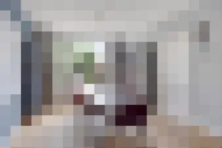 Boekweitstraat 36 Veldhoven thumbnail 5