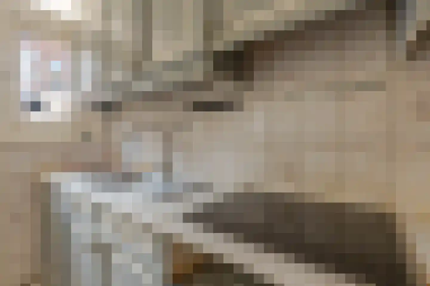 Boekweitstraat 37 Rotterdam thumbnail 13