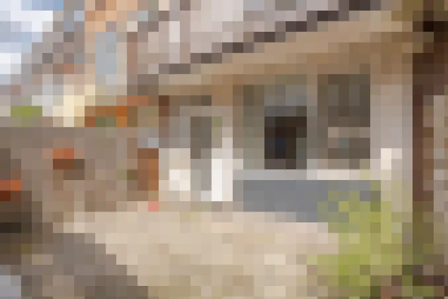 Boekweitstraat 37 Rotterdam thumbnail 16