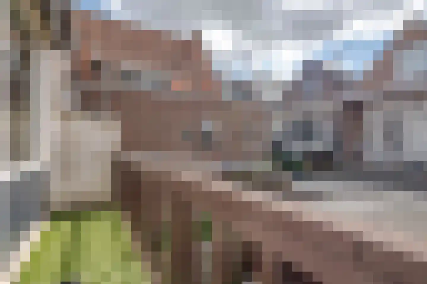 Boekweitstraat 37 Rotterdam thumbnail 23