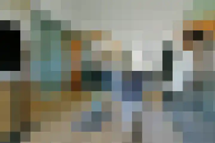Boekweitstraat 38 Putten thumbnail 7