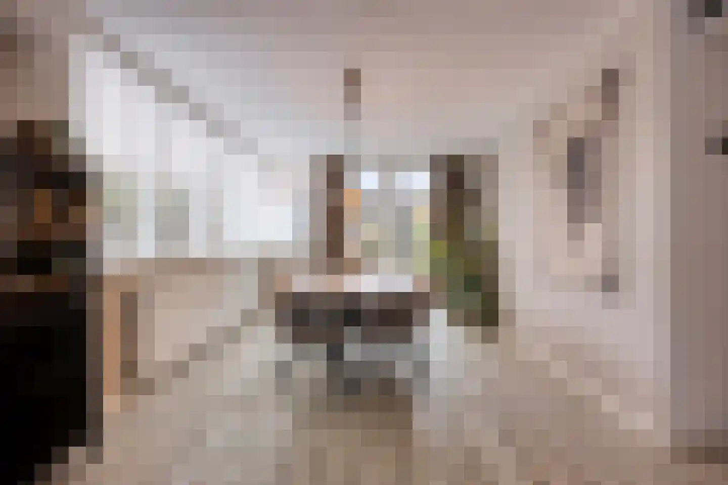 Boekweitstraat 39 Nistelrode thumbnail 18