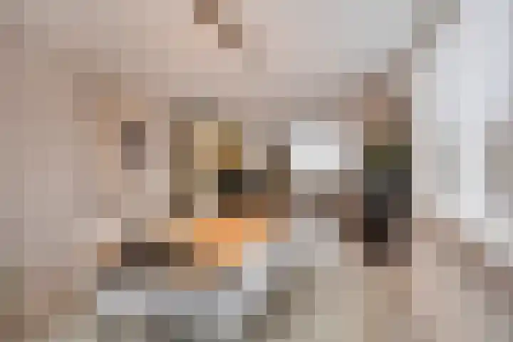 Boekweitstraat 39 Nistelrode thumbnail 19