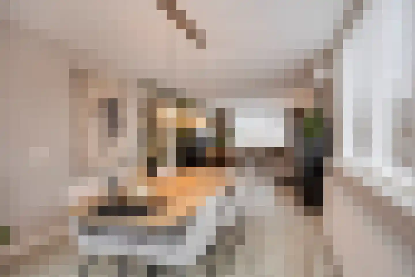 Boekweitstraat 39 Nistelrode thumbnail 19