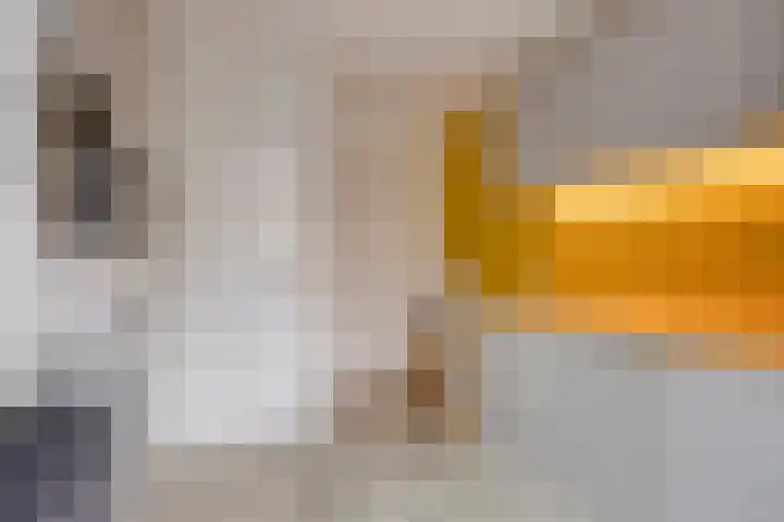 Boekweitstraat 39 Nistelrode thumbnail 22