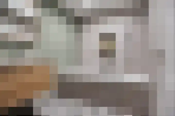 Boekweitstraat 39 Nistelrode thumbnail 28