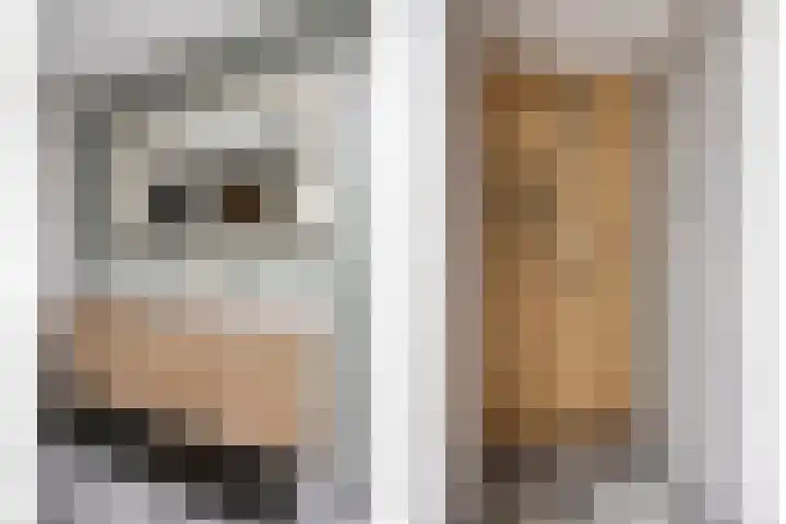 Boekweitstraat 39 Nistelrode thumbnail 30