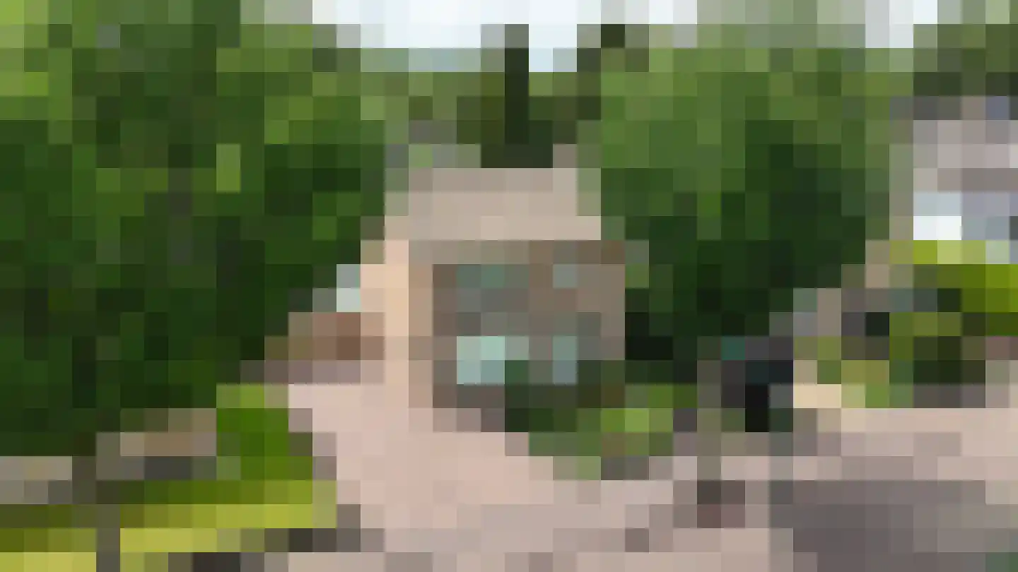 Boekweitstraat 39 Nistelrode thumbnail 4