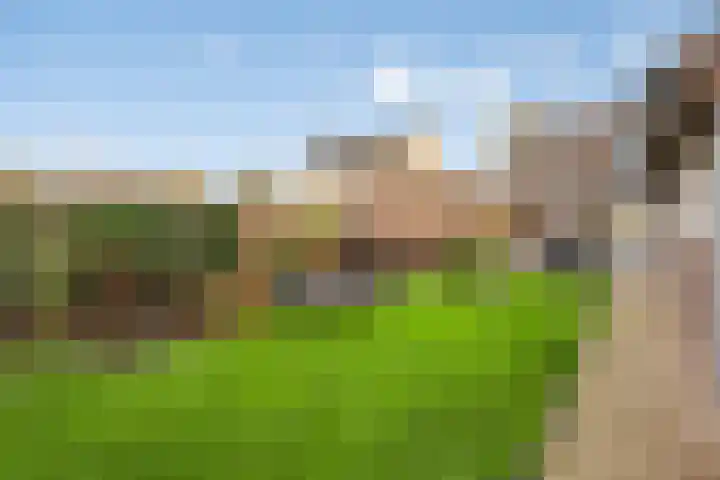 Boekweitstraat 39 Nistelrode thumbnail 46