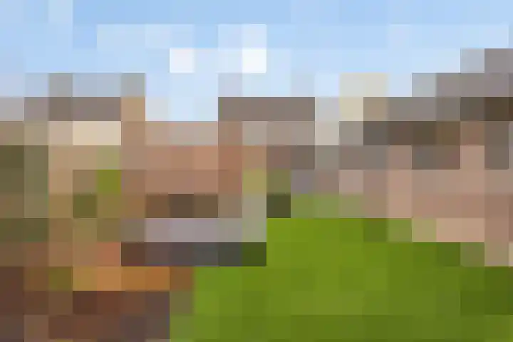 Boekweitstraat 39 Nistelrode thumbnail 48