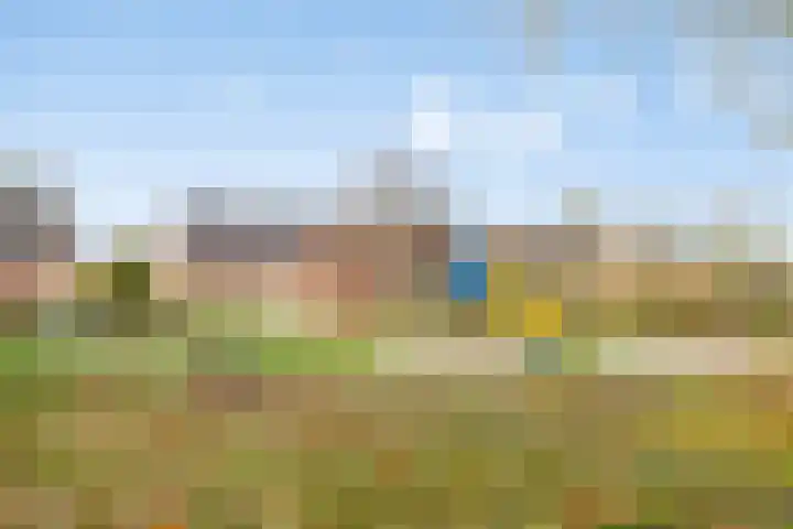 Boekweitstraat 39 Nistelrode thumbnail 52