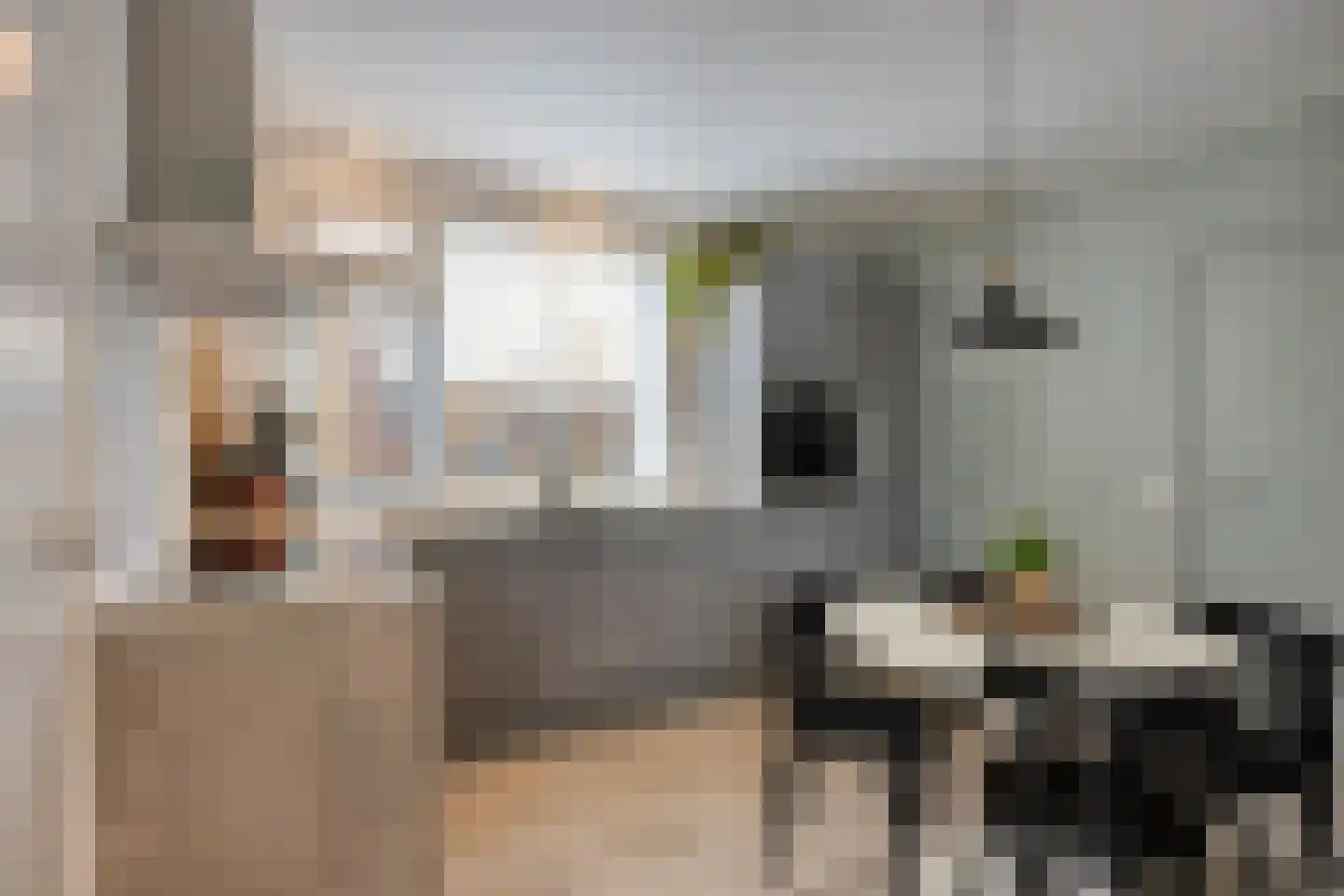 Boekweitstraat 39 Nistelrode thumbnail 9