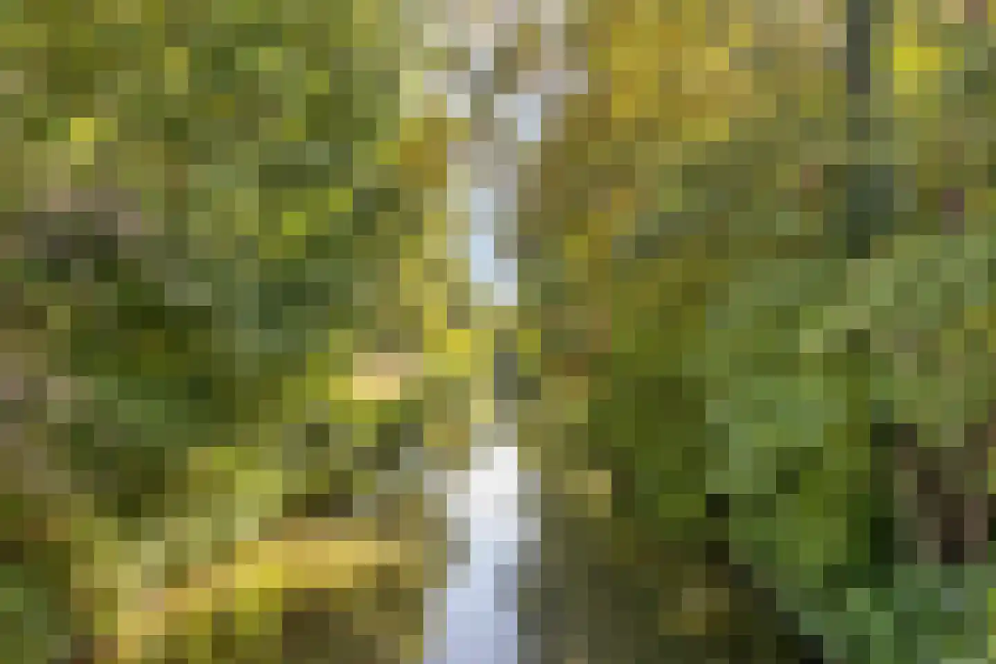 Boekweitstraat 39 Purmerend thumbnail 33