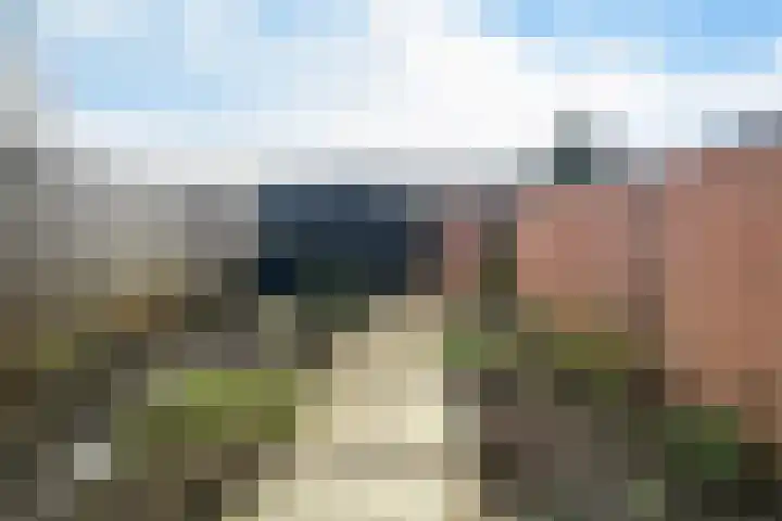 Boekweitstraat 39 Putten thumbnail 21