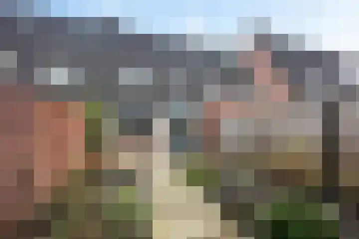 Boekweitstraat 39 Putten thumbnail 22