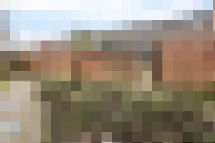 Boekweitstraat 39 Putten thumbnail 23