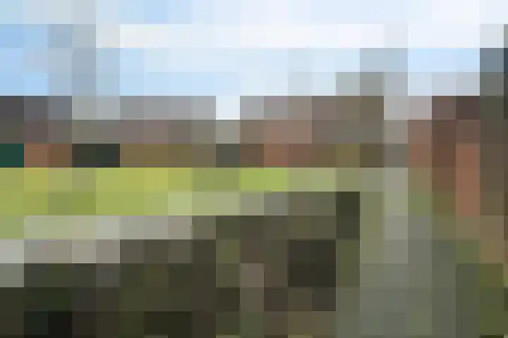 Boekweitstraat 39 Putten thumbnail 25
