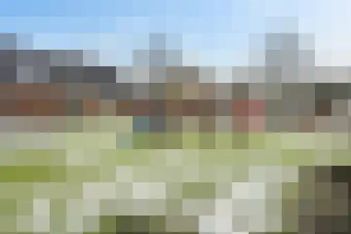 Boekweitstraat 39 Putten thumbnail 26