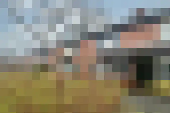 Boekweitstraat 39 Putten thumbnail 27