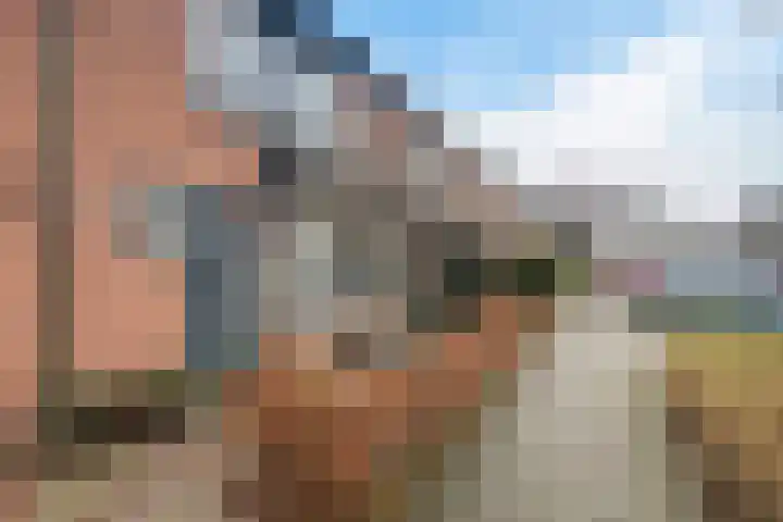 Boekweitstraat 39 Putten thumbnail 5