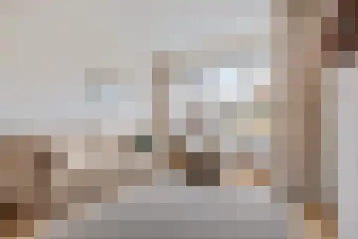 Boekweitstraat 39 Putten thumbnail 7
