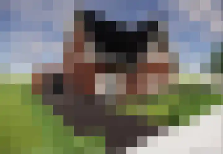 Boekweitstraat 4 in Nieuw-Balinge