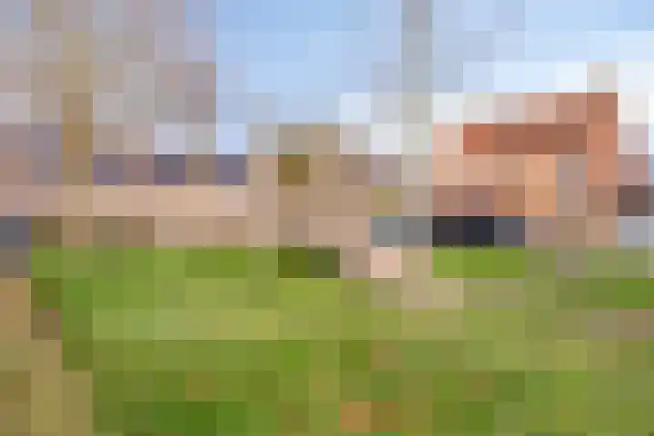 Boekweitstraat 4 Nuland thumbnail 30