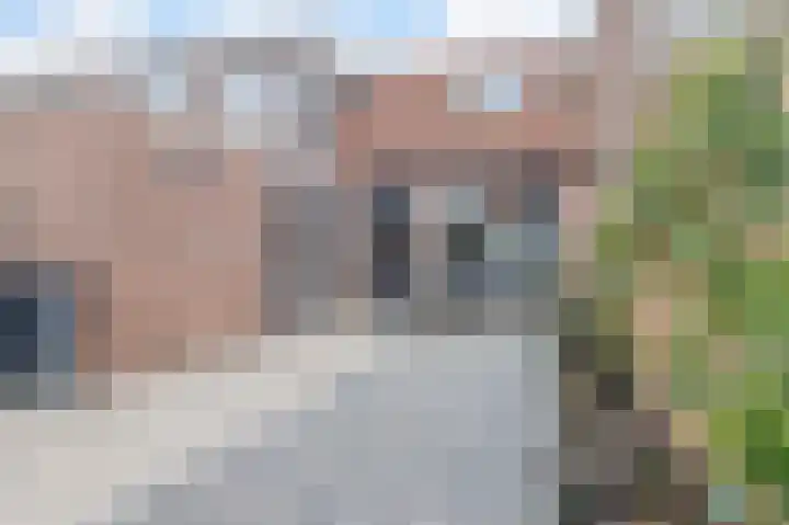 Boekweitstraat 45 Purmerend thumbnail 23
