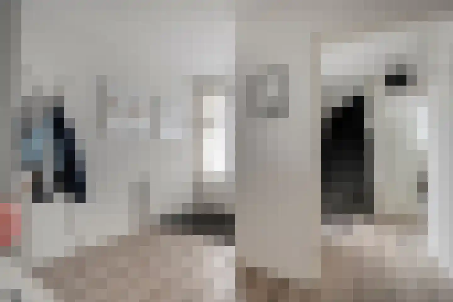 Boekweitstraat 47 Dedemsvaart thumbnail 10