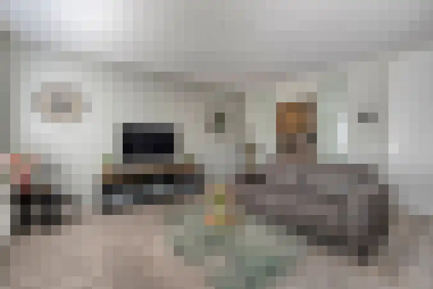 Boekweitstraat 47 Dedemsvaart thumbnail 12