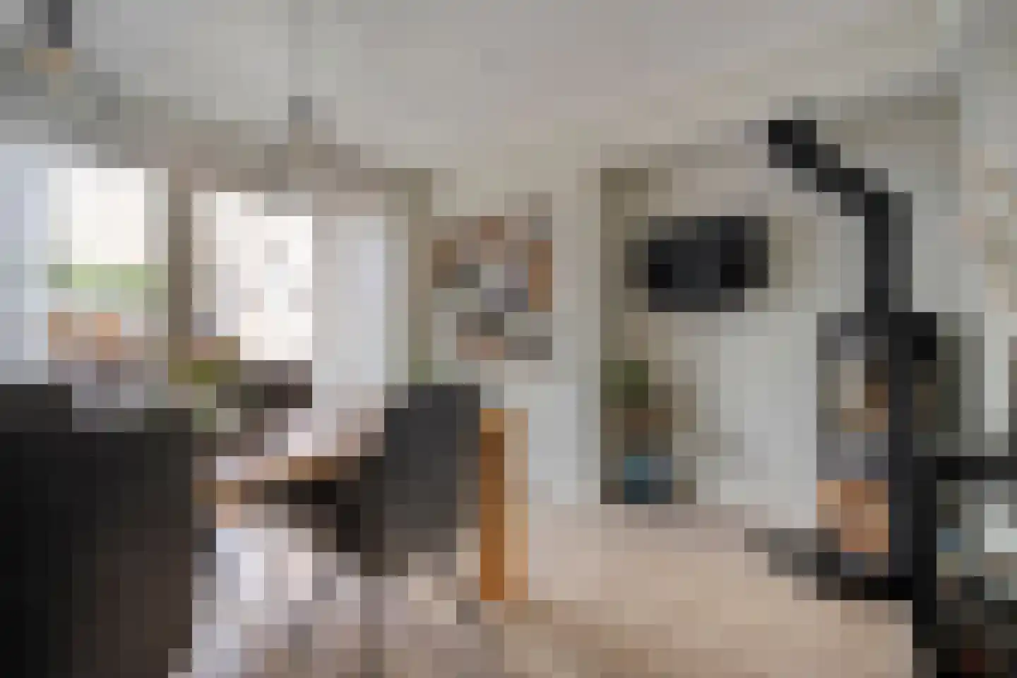 Boekweitstraat 47 Dedemsvaart thumbnail 14
