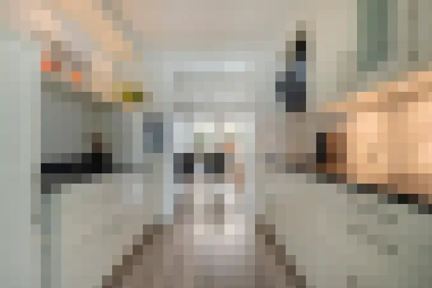 Boekweitstraat 47 Dedemsvaart thumbnail 16