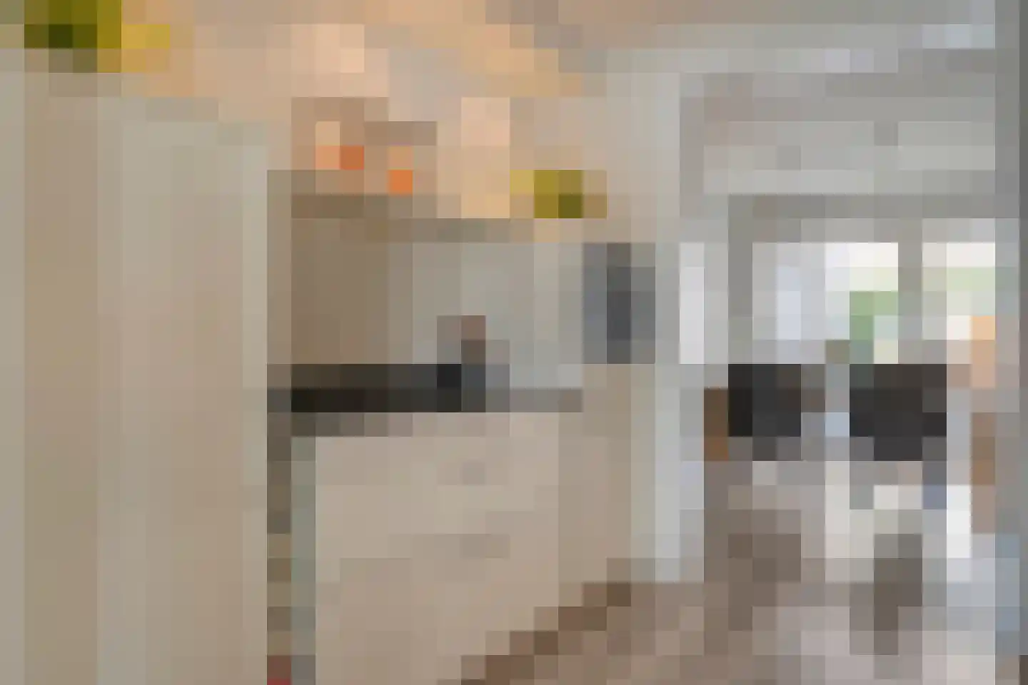 Boekweitstraat 47 Dedemsvaart thumbnail 18