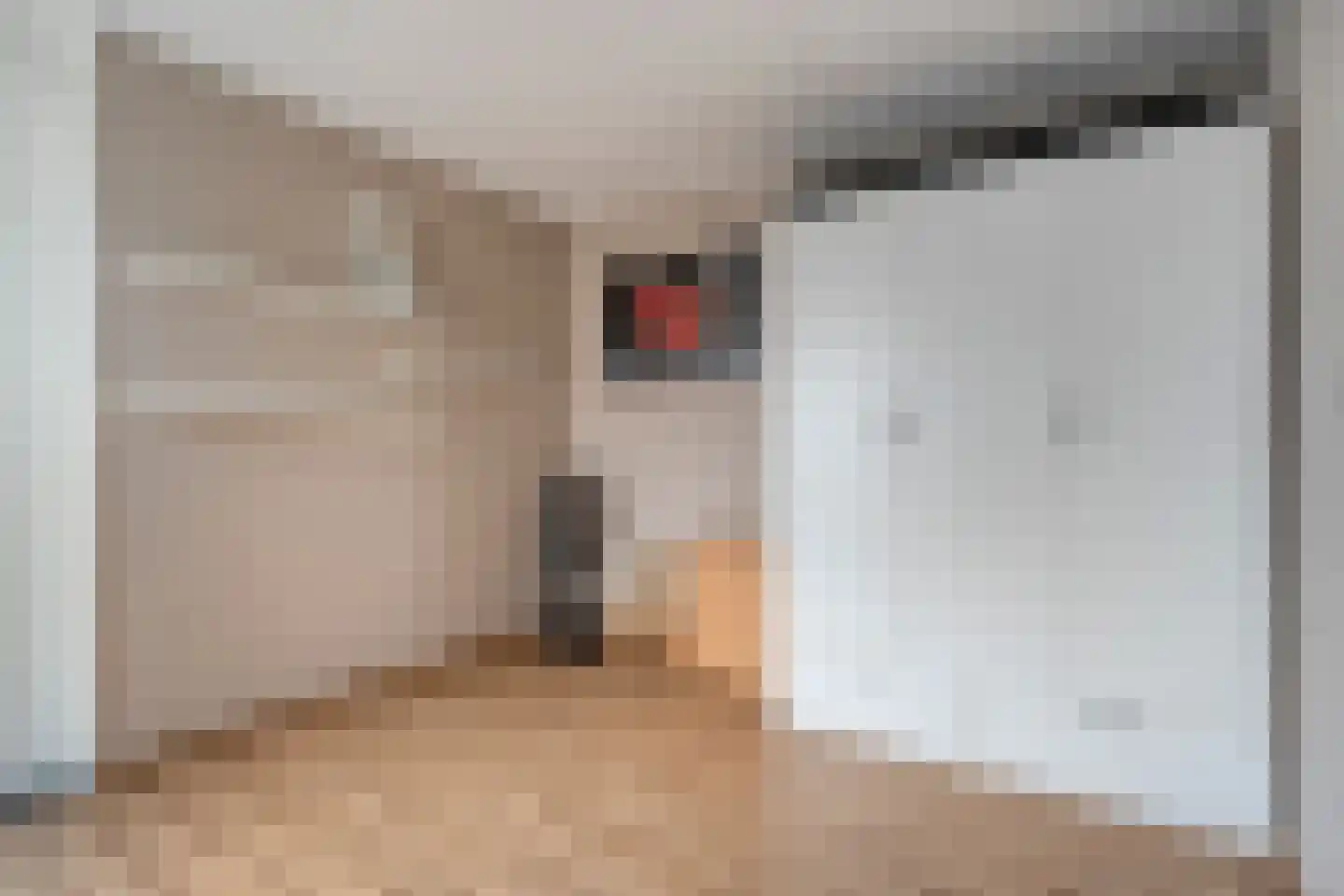 Boekweitstraat 47 Dedemsvaart thumbnail 19