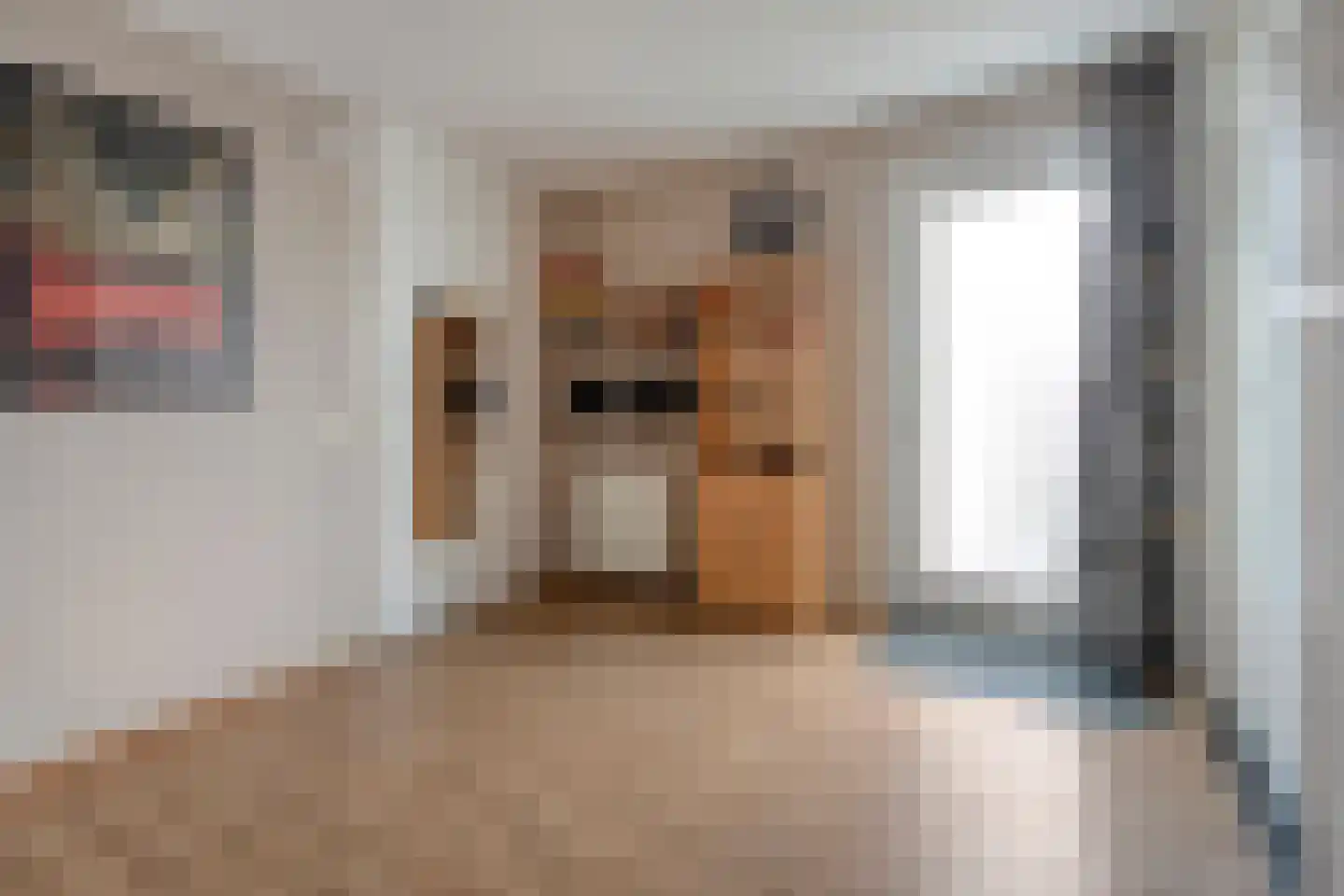 Boekweitstraat 47 Dedemsvaart thumbnail 20